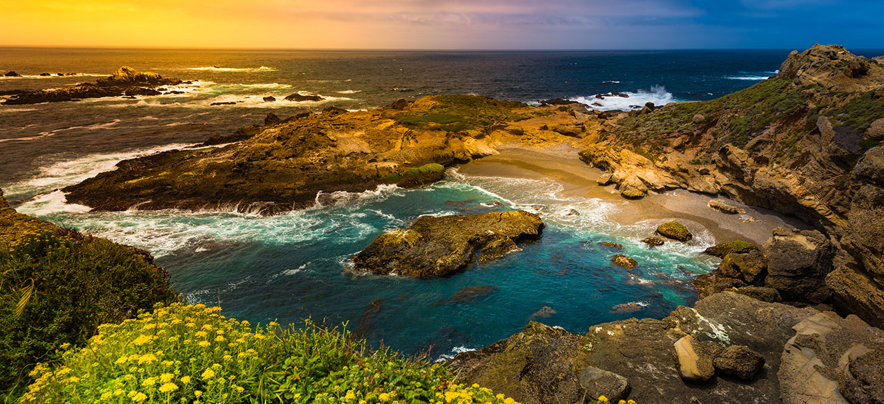 Point Lobos